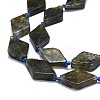 Natural Labradorite Beads Strands G-K245-E07-02-3