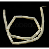Natural White Shell Beads Strands X-SSHEL-D614C-2