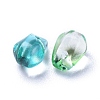 Transparent Glass Charms GLAA-O017-02H-2