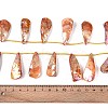 AB Color Plated Dyed Natural Freshwater Shell Beads Strands SHEL-T020-55E-4