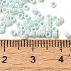 Cylinder Seed Beads SEED-H001-B01-4