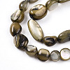 Natural White Shell Beads Strands SHEL-N036-21-4