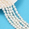 Natural Cultured Freshwater Pearl Beads Strands PEAR-P064-20C-01A-1
