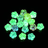 Transparent Acrylic Beads OACR-Z013-18-2