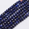 Natural Lapis Lazuli Beads Strands G-D840-38-4mm-1