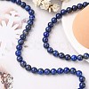 Natural Lapis Lazuli Beads Strands X-G-G099-8mm-7-5