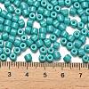 Baking Paint Pearlized Glass Seed Beads SEED-C001-04A-06-4