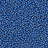 11/0 Czech Opaque Glass Seed Beads SEED-N004-003B-09-4
