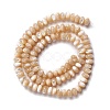 Natural Trochid Shell/Trochus Shell Beads Strands SSHEL-O001-24A-01-1