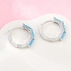 Brass Micro Pave Cubic Zirconia Hoop Earrings KK-CBA8324-12G-01-3