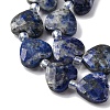Natural Lapis Lazuli Beads Strands G-P570-E12-01-4