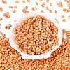 Picasso Glass Seed Beads SEED-N012-10B-2