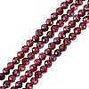 2 Strands Natural Garnet Beads Strands G-GO0001-67-1