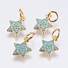 Brass Micro Pave Cubic Zirconia Charms X-RB-I077-21G-RS-1