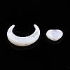 Natural White Shell Beads Sets SSHEL-N032-52B-02-3