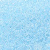 MIYUKI Delica Beads SEED-JP0008-DB0239-4