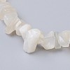 Natural White Moonstone Stretch Bracelets BJEW-JB03681-09-2