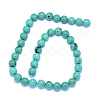 Natural Howlite Beads Strands TURQ-P027-32-8mm-2