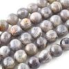 Natural Labradorite Beads Strands X-G-G212-8mm-23-10
