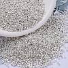 MIYUKI Delica Beads SEED-JP0008-DB0551-1