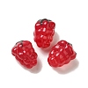 Handmade Lampwork Beads Strands LAMP-G162-05E-2