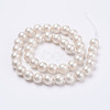 Wrinkle Textured Shell Pearl Beads Strands X-BSHE-E016-10mm-07-2