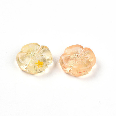 Transparent Acrylic Beads TACR-T028-40E-1