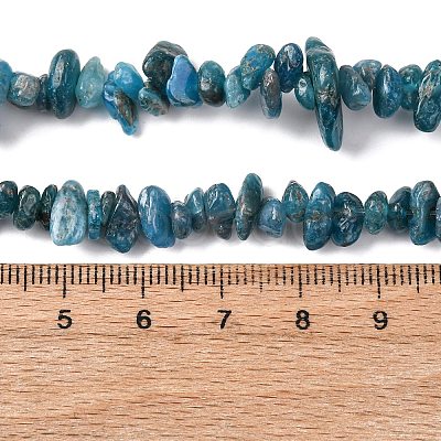 Natural Apatite Beads Strands G-F666-01B-02-01-1