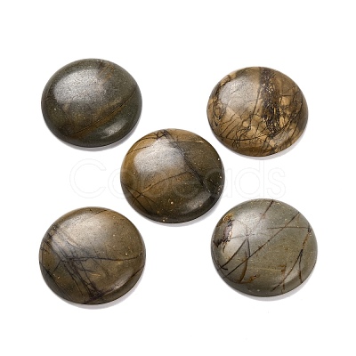 Natural Picasso Jasper Cabochons G-B085-02A-09-1