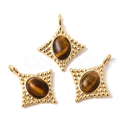 Natural Tiger Eye Pendants KK-Z149-14G-02-1