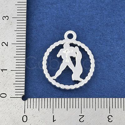 Twelve Constellations Alloy Pendants PALLOY-Q006-01E-S-1