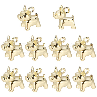 10Pcs Brass Charms KK-BBC0024-48-1