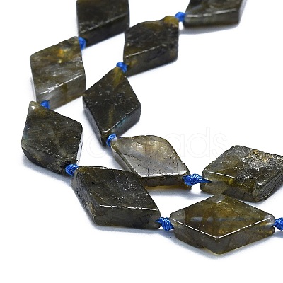 Natural Labradorite Beads Strands G-K245-E07-02-1