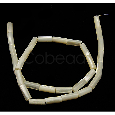 Natural White Shell Beads Strands X-SSHEL-D614C-1