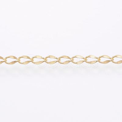 Handmade 304 Stainless Steel Curb Chains STAS-G038-11B-1