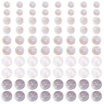 1 Strand 2 Styles Natural Freshwater Shell Beads Strands SHEL-TA0001-43-1