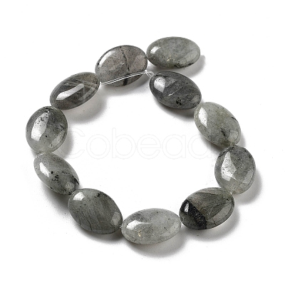 Natural Labradorite Beads Strands G-P528-M10-01-1