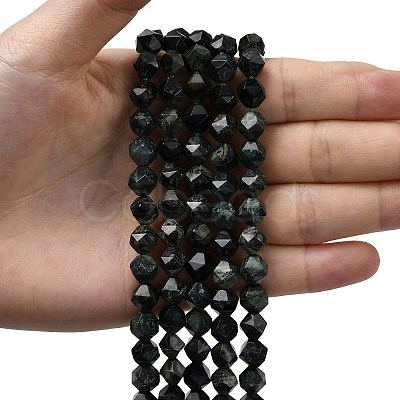 Natural Kambaba Jasper Beads Strands G-Z119-A20-02-1