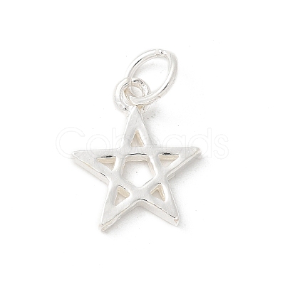 S925 Sterling Silver Pendant STER-H115-03B-S-1