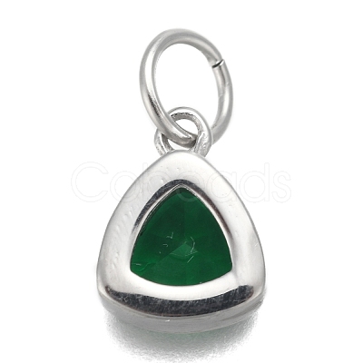 304 Stainless Steel Cubic Zirconia Pendant ZIRC-P080-B12-1