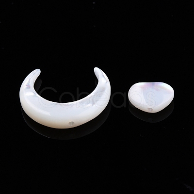 Natural White Shell Beads Sets SSHEL-N032-52B-02-1