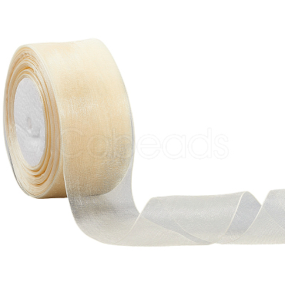 1 Rolls Sheer Organza Ribbon SRIB-CY0001-22C-11-1