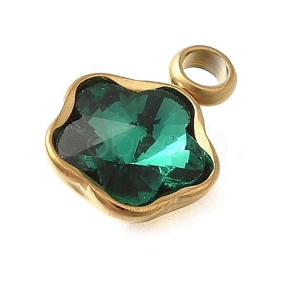 304 Stainless Steel Pendants STAS-Q346-02G-08-1