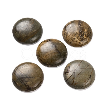 Natural Picasso Jasper Cabochons G-B085-02A-09-1
