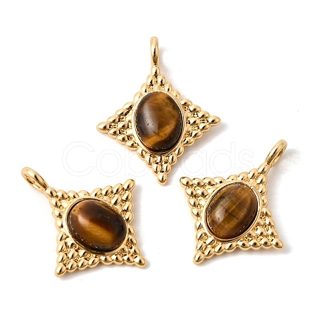 Natural Tiger Eye Pendants KK-Z149-14G-02-1