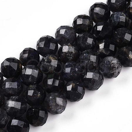 Natural Cordierite/Iolite/Dichroite Beads Strands G-S345-10mm-27-1