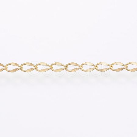 Handmade 304 Stainless Steel Curb Chains STAS-G038-11B-1