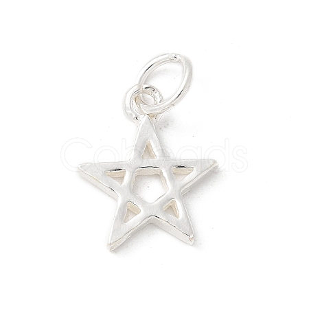 S925 Sterling Silver Pendant STER-H115-03B-S-1