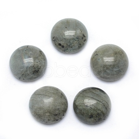 Natural Gemstone Cabochons X-G-P393-R47-6MM-1