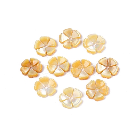 Natural Yellow Shell Carved Beads SHEL-Q028-04-1